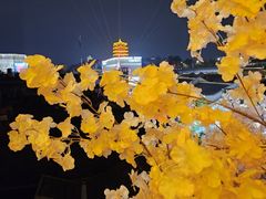 -老宅藕香·湖北菜·非遗藕汤·武昌鱼(黄鹤楼景观店)