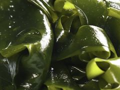 -蜀九香火锅(九眼桥店)
