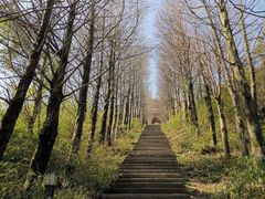 -东白山
