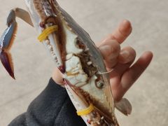 -聚德福海鲜家常菜(刘庄店)