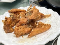 -源港渔村-中山脆肉鲩(博罗店)