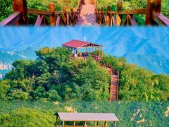 -大岭沟猕猴桃谷风景区