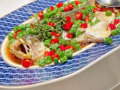 鲜花椒蒸东海大黄鱼-炳胜私厨(万象前海店)