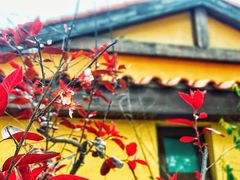 -意大利农场度假村