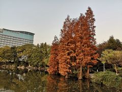 -桂林两江四湖景区