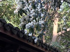 -杭州植物园