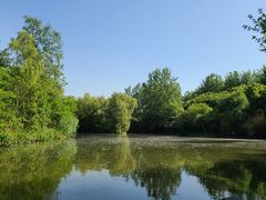 -溱湖国家湿地公园