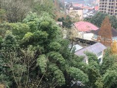 -花水湾第一村温泉大酒店