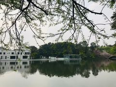 -中国科学院华南植物园