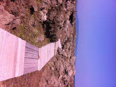 龙坑生态保护区-龙坑生态保护区