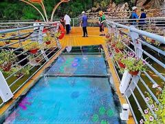 -参仙谷生态旅游度假区