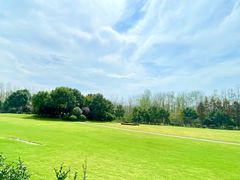 -合肥滨湖国家森林公园