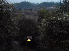 -天目湖涵田半山温泉水乐园
