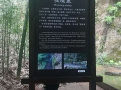 -川西竹海景区