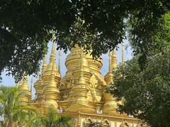 -西双版纳勐泐文化旅游区