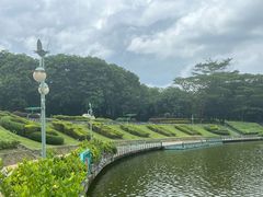 -东莞植物园
