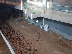 -元代水闸遗址博物馆