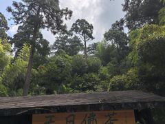 -东天目山风景区