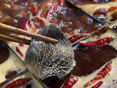 -独雅老火锅(原宏声巷店)