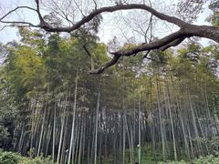 -杭州黄龙洞