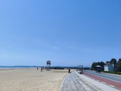 -日照海滨国家森林公园