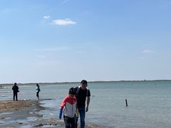 -红碱淖景区