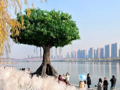 -咸阳湖景区