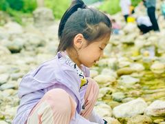 -牛背梁国家森林公园