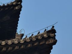 -嵩祝寺及智珠寺