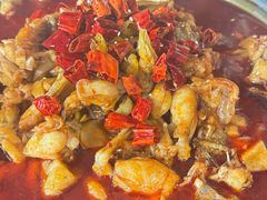 -美蛙四季(亦庄店)