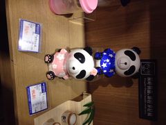 iphone_upload_pic-熊猫屋(宽窄巷子景区店)