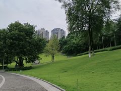 -龙头寺公园