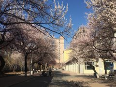 -吉林大学(南岭校区)