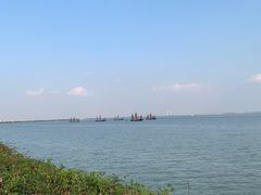 -贡湖湾湿地公园