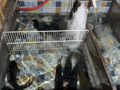 -缘福乡村铁锅炖民宿(八达岭店)