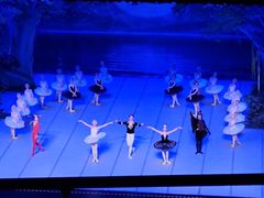 -交通银行前滩31演艺中心