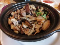 -普兰达德国餐厅·德式脆皮烤猪肘·自酿啤酒(观唐店)