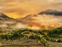 -厦门园林博览苑