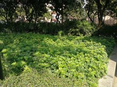 景点-十九路军淞沪抗日阵亡将士陵园
