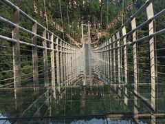 -九龙江国家森林公园