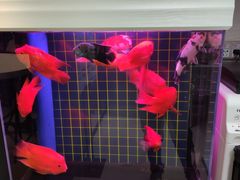 -方快-照相馆(莘庄沁春路店)
