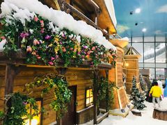 -世界之窗阿尔卑斯冰雪世界