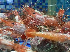-欧记·龙城港(欣都店)