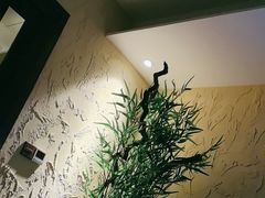 -沐·SPA悠享影院足道(海岸城店)