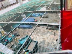 -济南海鲜大市场