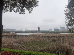 -洋湖国家湿地公园