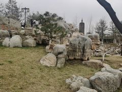 -西海子公园