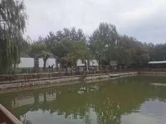 -尚庄度假村·庭台树下·户外烧烤·团建CS·轰趴营地(上庄水库店)