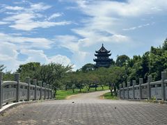 -上海海湾国家森林公园