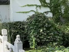-陶然亭公园